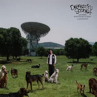 Depresion Sonora - Los Perros No Entienden Internet - CD