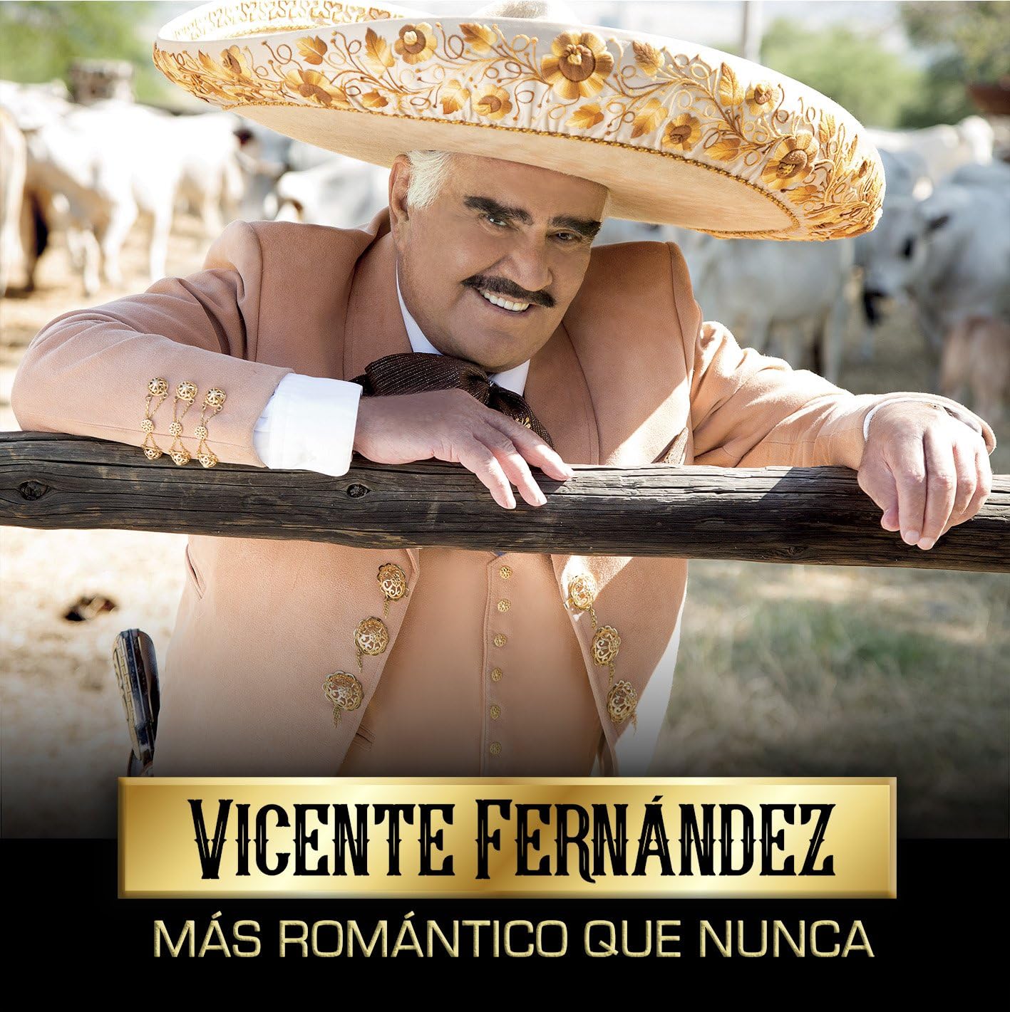 Vicente Fernandez - Más Romantico que Nunca - CD
