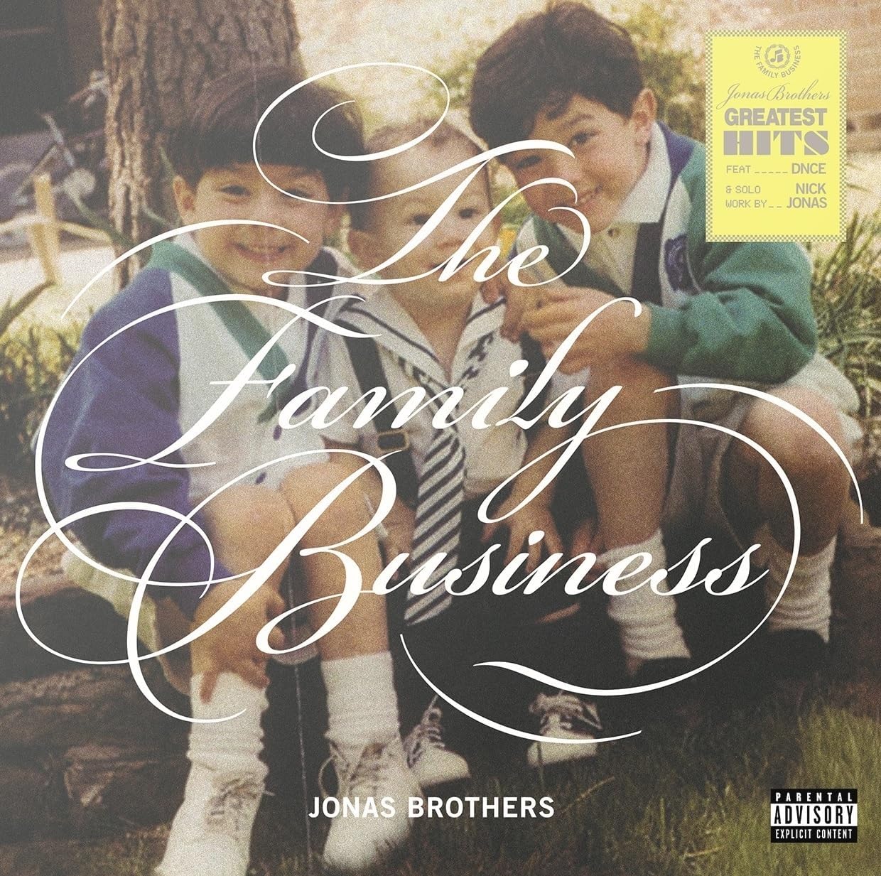 Jonas Brothers – The Family Business - CD