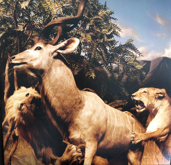 Interpol – Our Love To Admire - LP