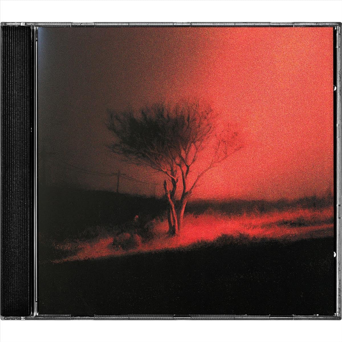 Joji – Piss In The Wind - CD