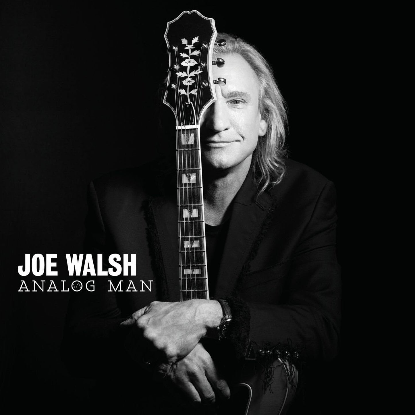 Joe Walsh – Analog Man LP