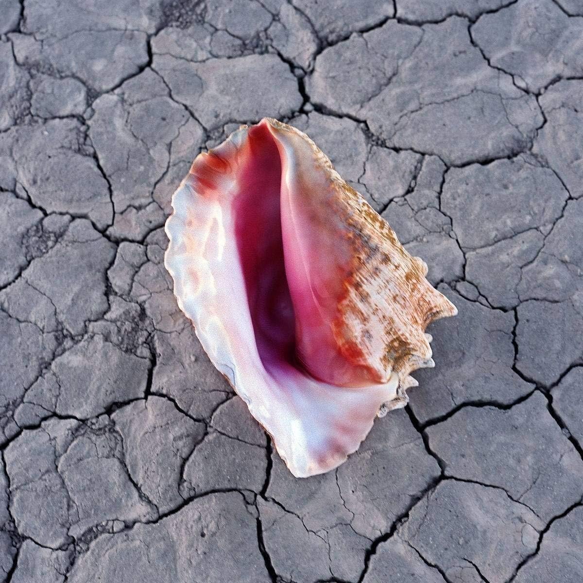 The Killers – Wonderful Wonderful CD