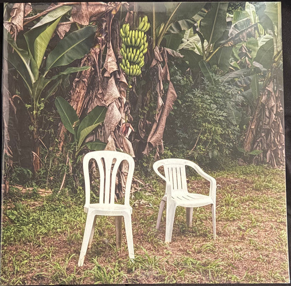 Bad Bunny – Debí Tirar Más Fotos - LP
