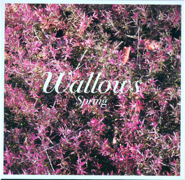 Wallows – Spring - CD