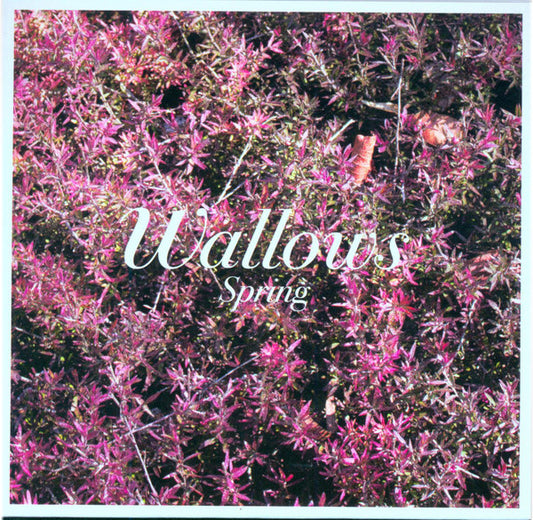Wallows – Spring - CD