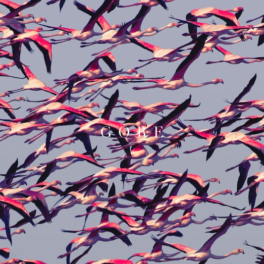 Deftones – Gore - LP