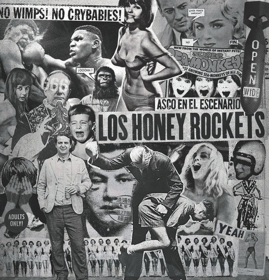 Los Honey Rockets – Asco en el Escenario LP