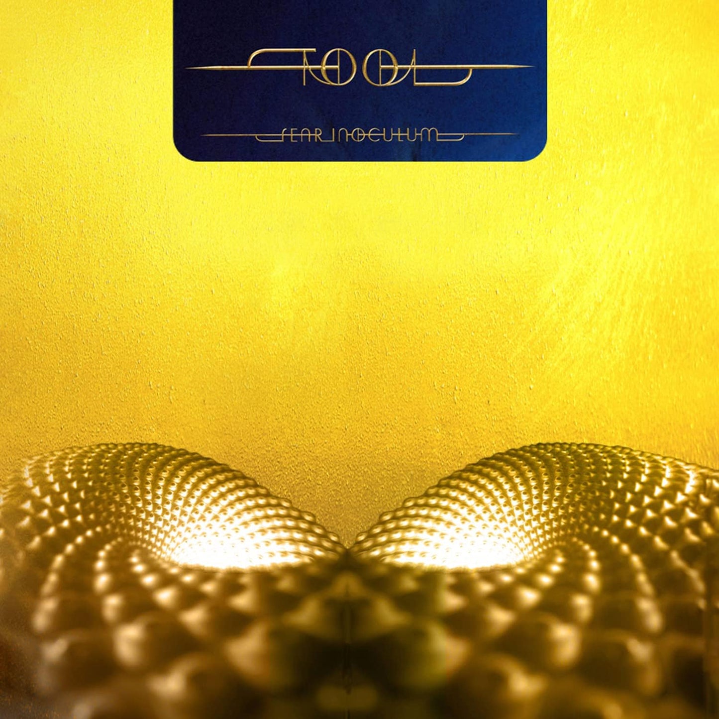 Tool  – Fear Inoculum - LP