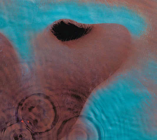Pink Floyd – Meddle LP