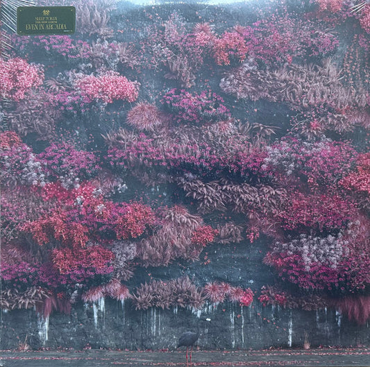 Sleep Token – Even In Arcadia - LP