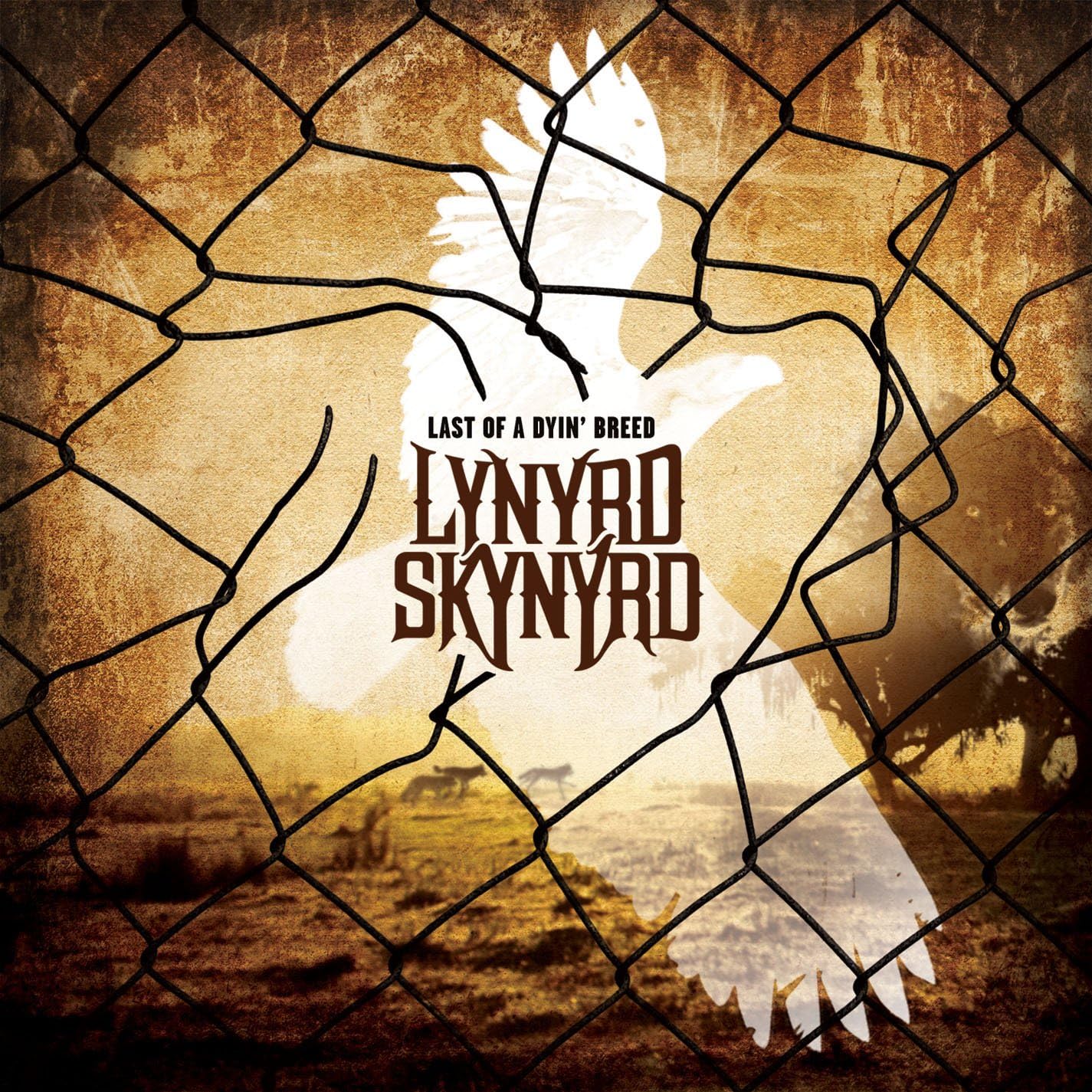 Lynyrd Skynyrd – Last Of A Dyin' Breed CD