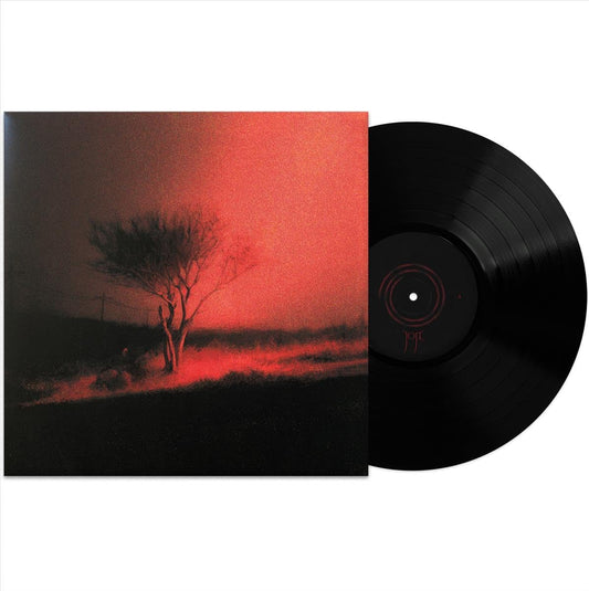 Joji – Piss In The Wind - LP Negro