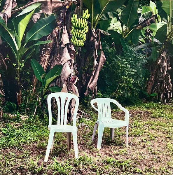 Bad Bunny – Debí Tirar Más Fotos - LP