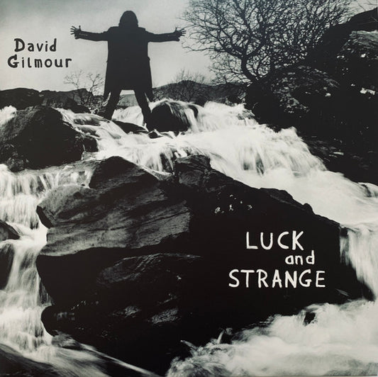 David Gilmour – Luck And Strange - LP Azul