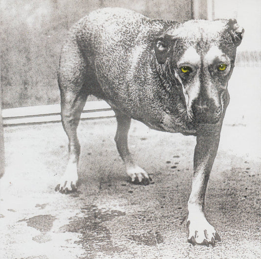 Alice In Chains – Alice In Chains - CD