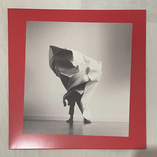 Mother Mother – Grief Chapter - LP
