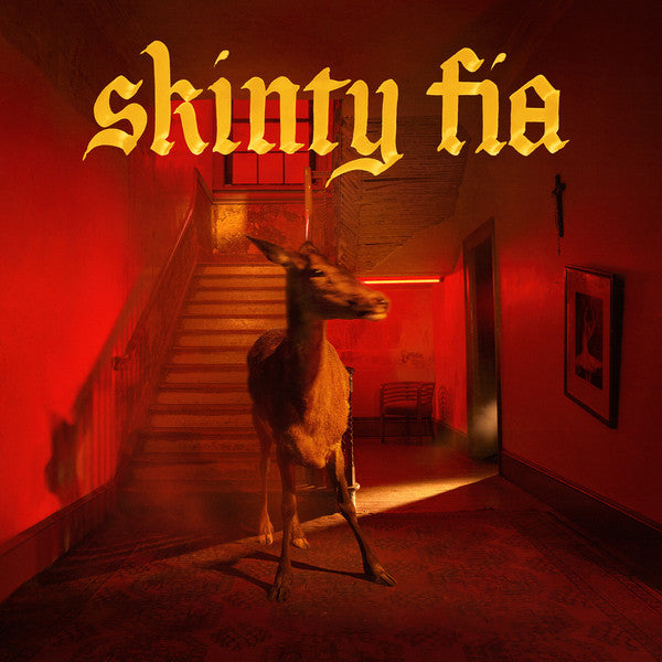 Fontaines D.C. – Skinty Fia - LP