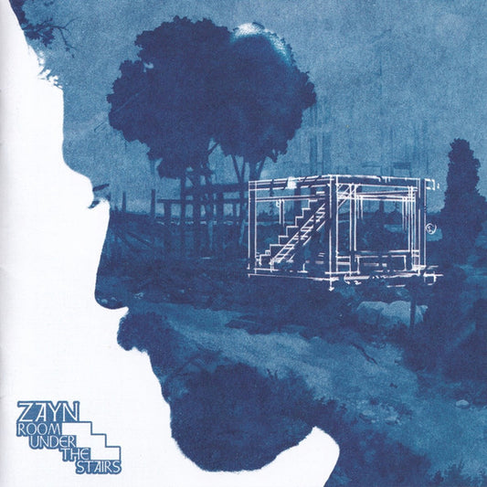 ZAYN  – Room Under The Stairs