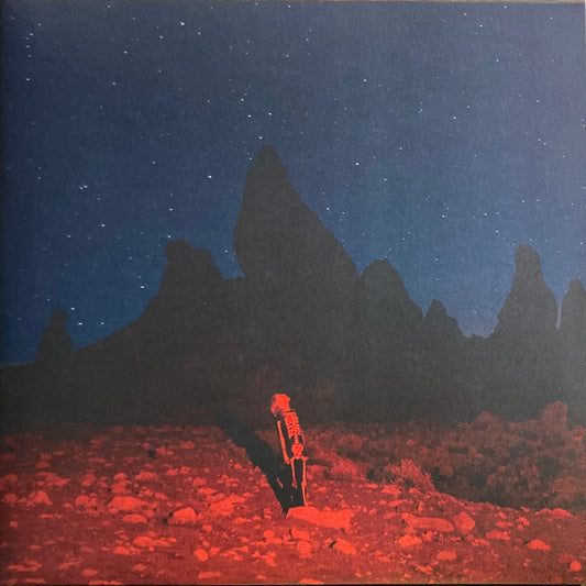 Phoebe Bridgers – Punisher LP