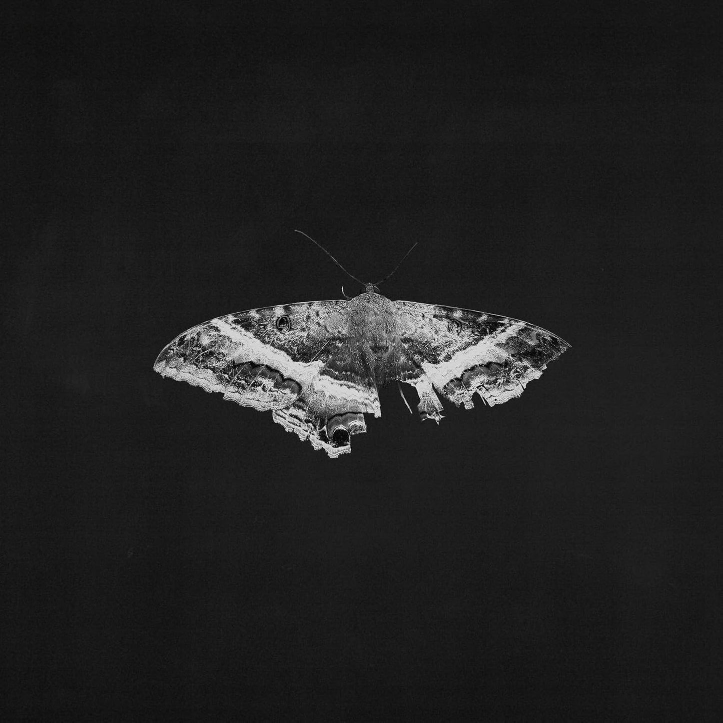 Kendrick Lamar – To Pimp A Butterfly 10th Anniversary LP