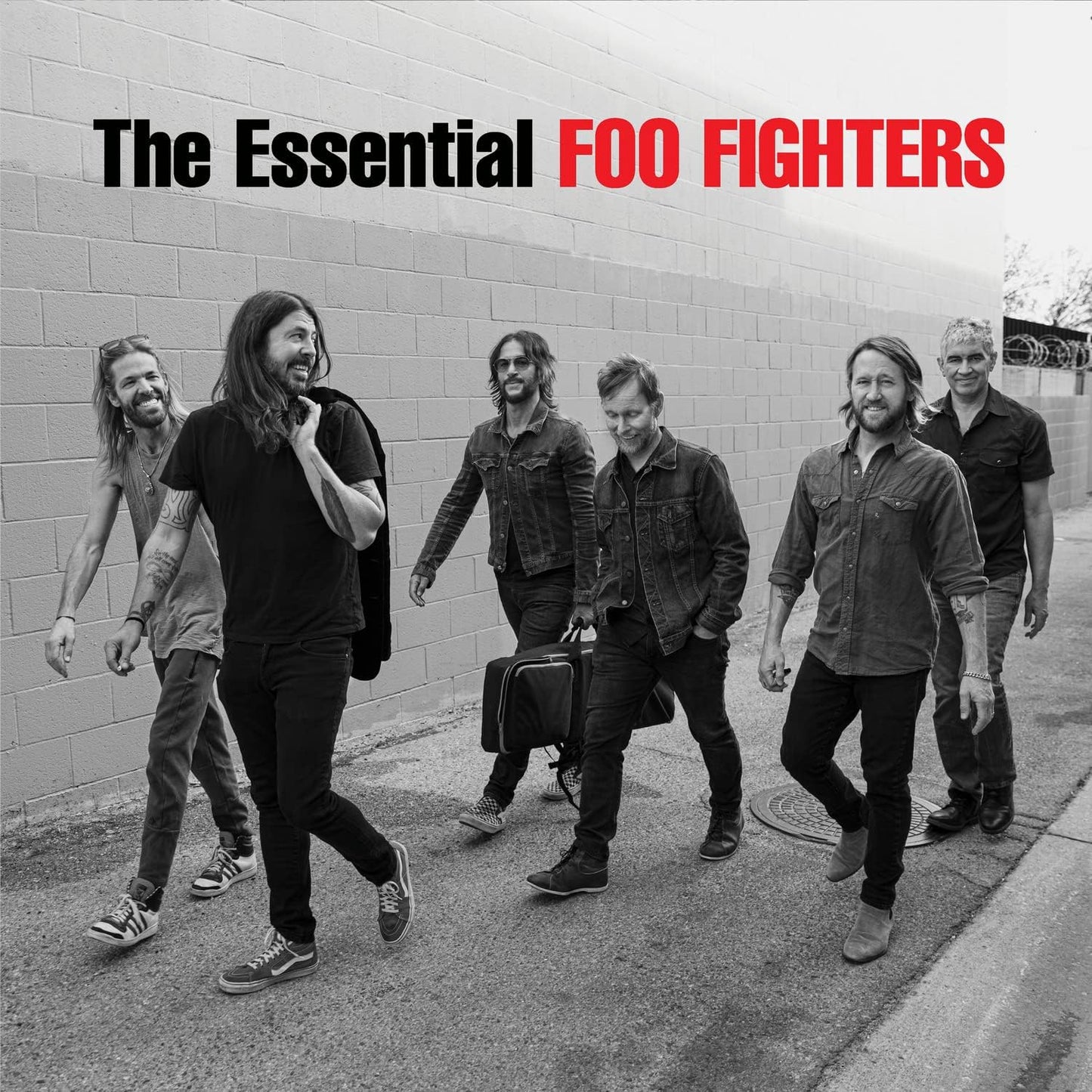 Foo Fighters – The Essential LP
