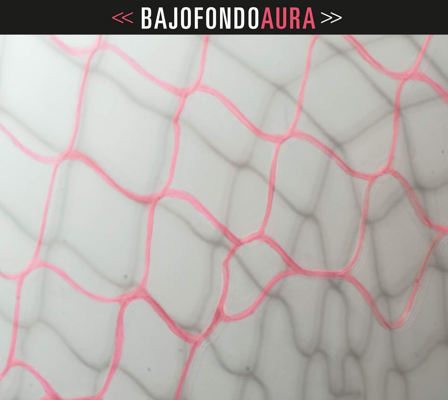 Bajofondo Tango Club – Aura LP