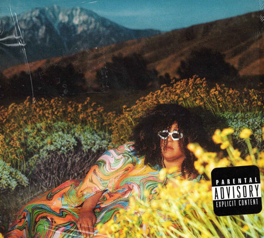 Brittany Howard – What Now - CD