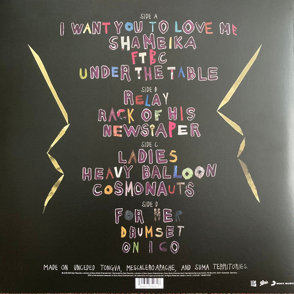 Fiona Apple – Fetch The Bolt Cutters - LP