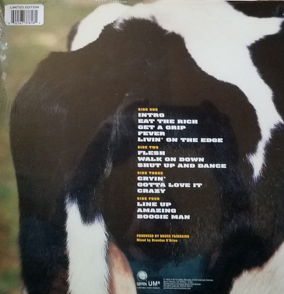 Aerosmith - Get A Grip - LP