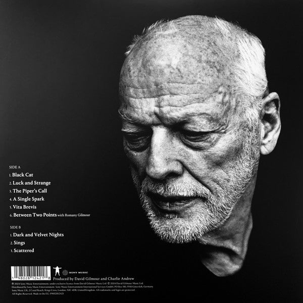 David Gilmour – Luck And Strange - LP Azul