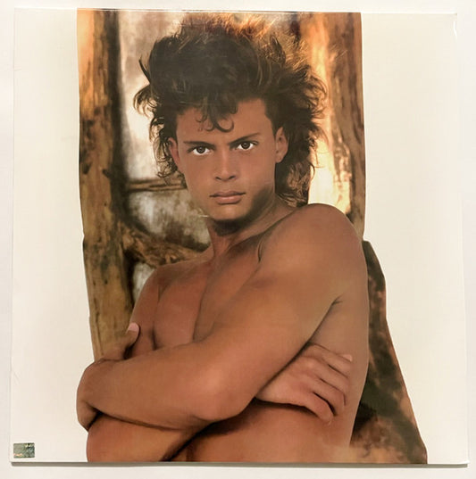 Luis Miguel - Busca Una Mujer LP