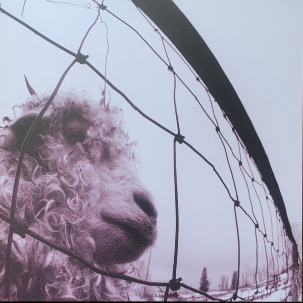 Pearl Jam - VS 30Th Anniversary - Lp Transparente